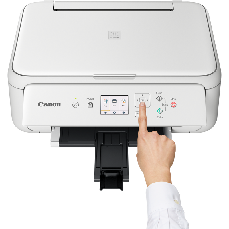 canon ts 600