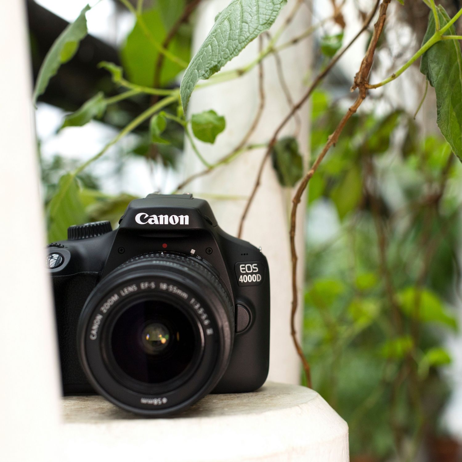 me and my dslr camera