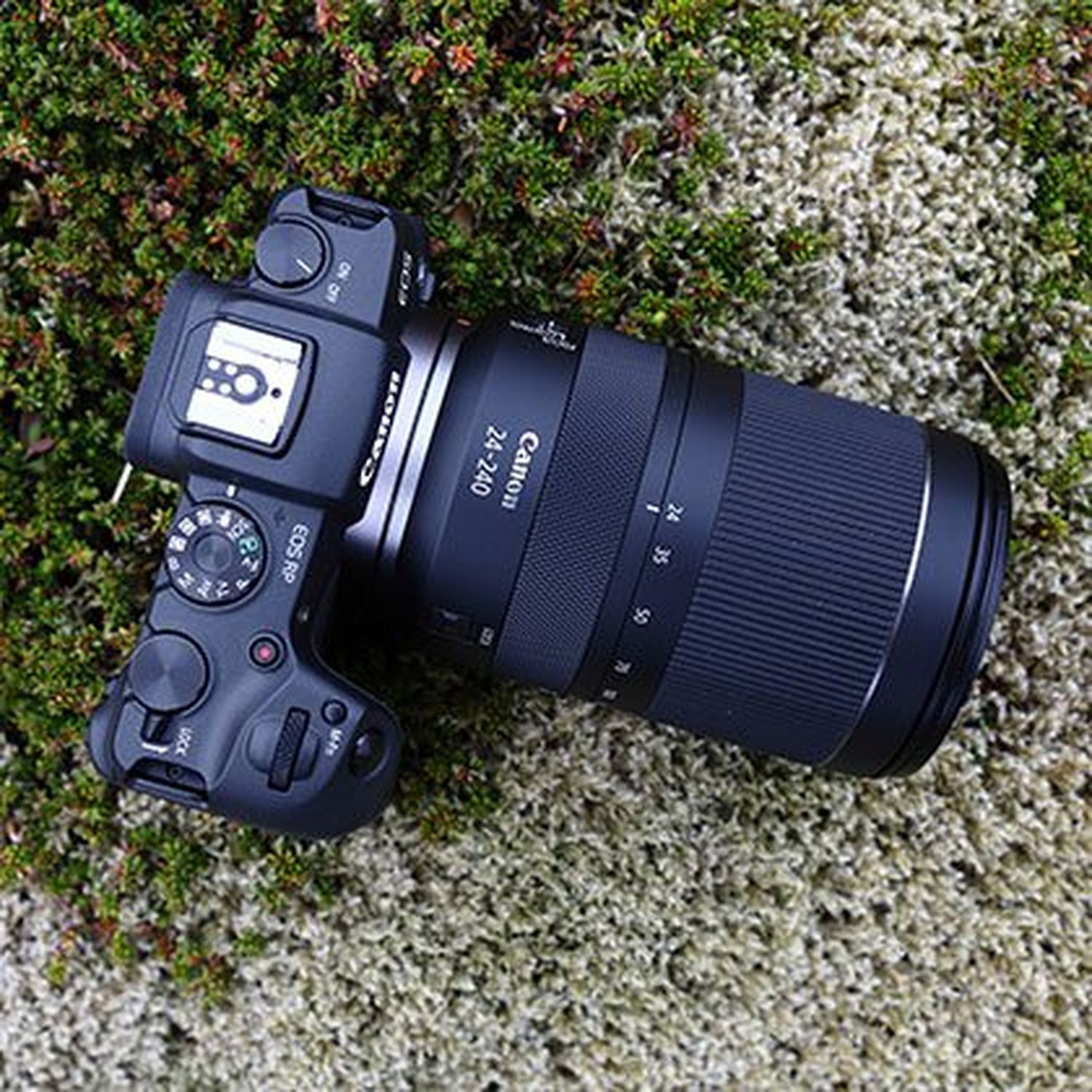 Buy Canon EOS RP + RF 24240mm f/46.3 IS USM Lens in Wi