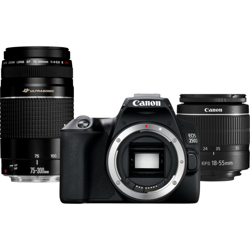 Buy Canon EOS 250D Body, Black + EF-S 18-55mm f/4-5.6 IS STM + Spare ...