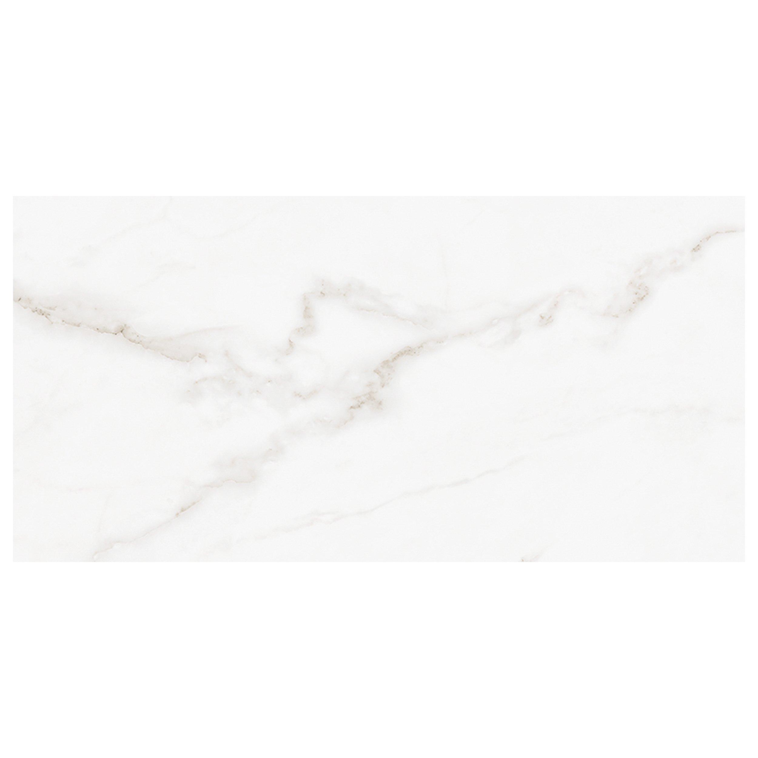 Dimarmi Bianco Porcelain Tile - 12 x 24 - 100568856 ...